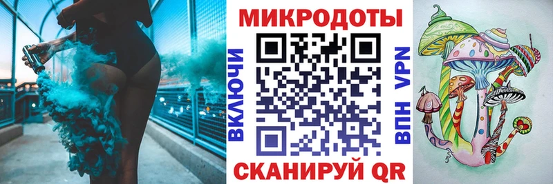 Галлюциногенные грибы Psilocybine cubensis  Купить где  Богданович 